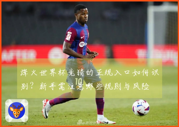 烽火世界杯竞猜的正规入口如何识别？新手需注意哪些规则与风险