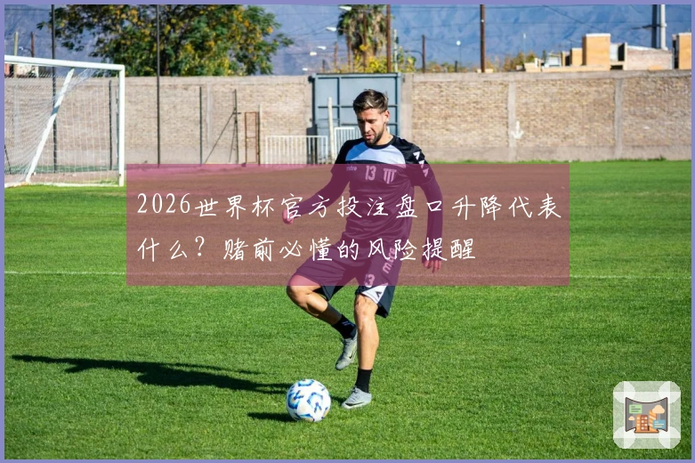 2026世界杯官方投注盘口升降代表什么？赌前必懂的风险提醒