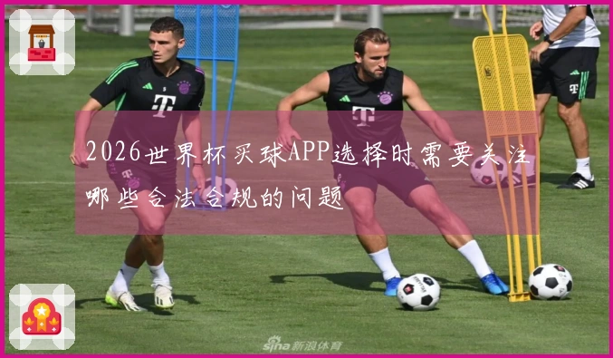 2026世界杯买球APP选择时需要关注哪些合法合规的问题